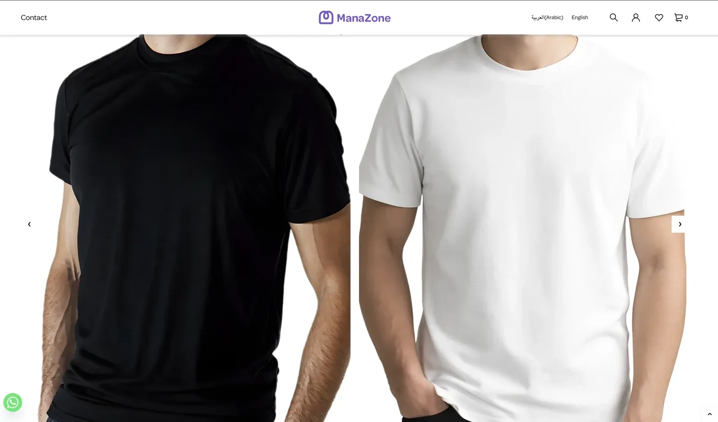 MANAZONE website interface 2