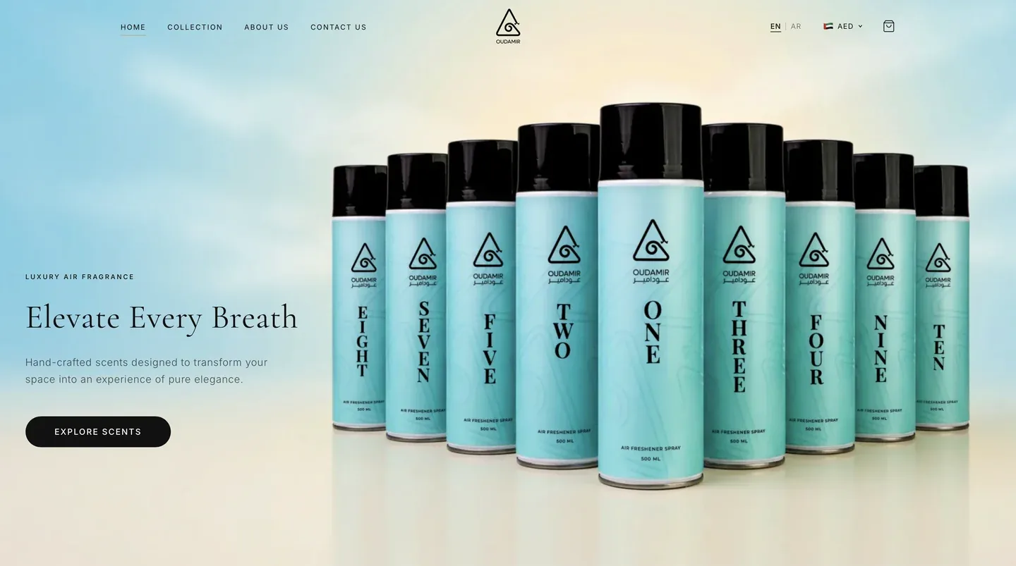 OUDAMIR website interface 1